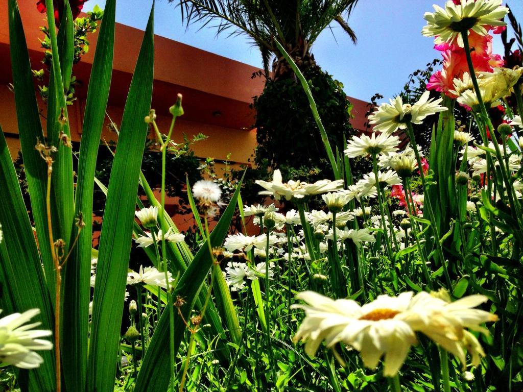Chrissas Apartments Réthimno Kültér fotó